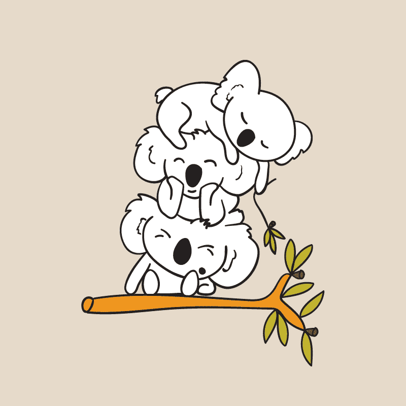 Illustration of three cute koalas stacked sitting on top of each other on a branch in an outlined style, part of the Drop Bear brand identity design, using a simple Australian inspired color palette."