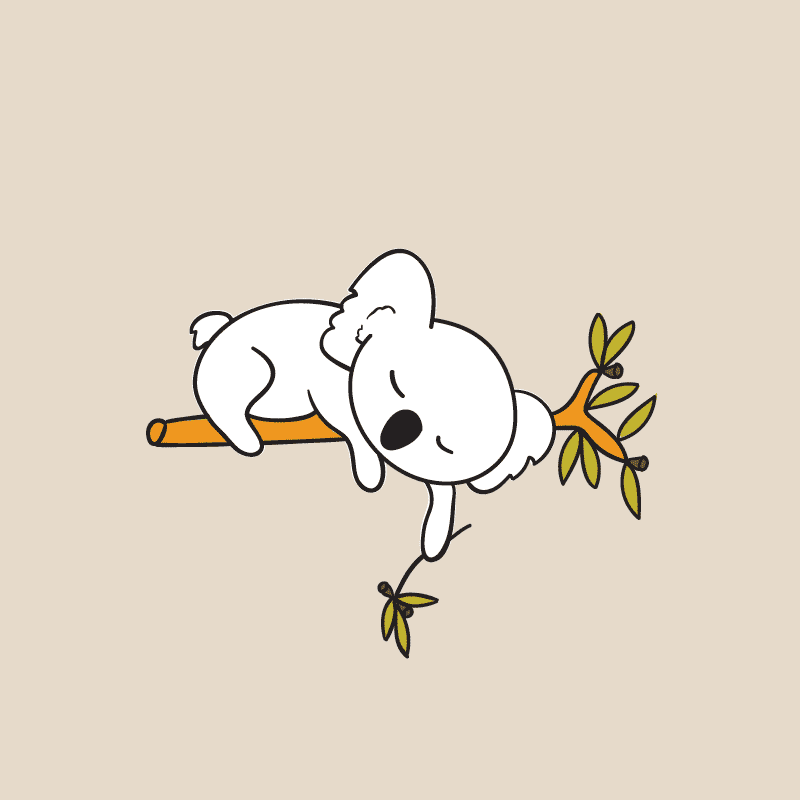 Illustration of a cute koala sleeping on a branch in an outlined style, part of the Drop Bear brand identity design, using a simple Australian inspired color palette."