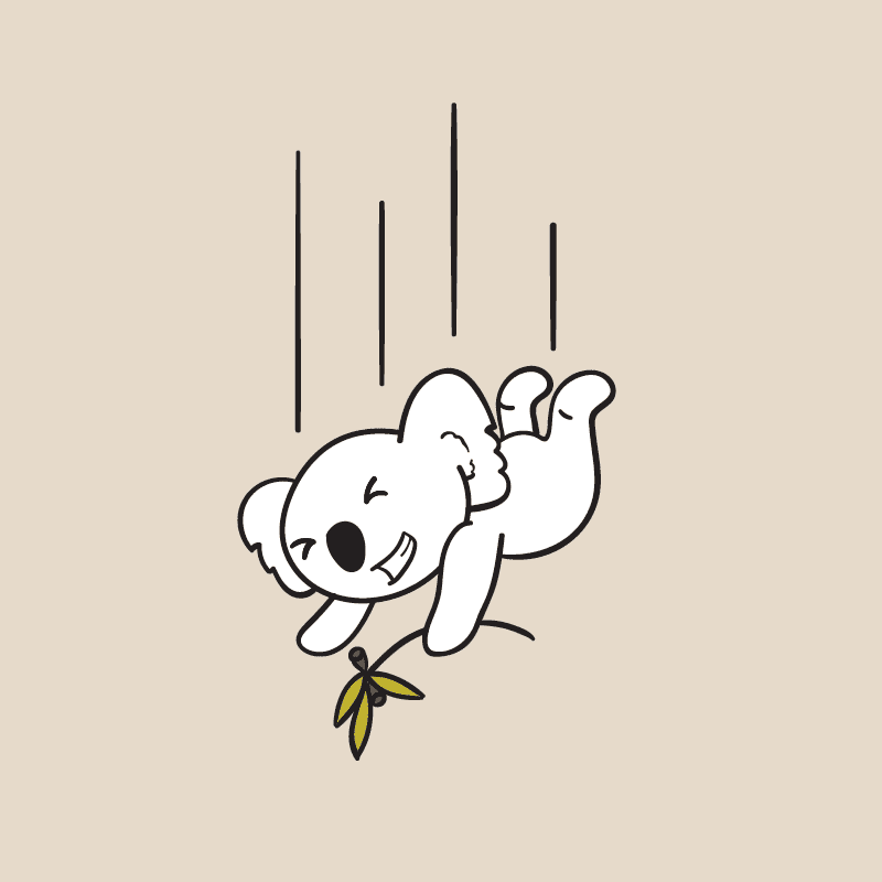 Illustration of a falling cute and cheeky looking koala in an outlined style, part of the Drop Bear brand identity design, using a simple Australian inspired color palette."