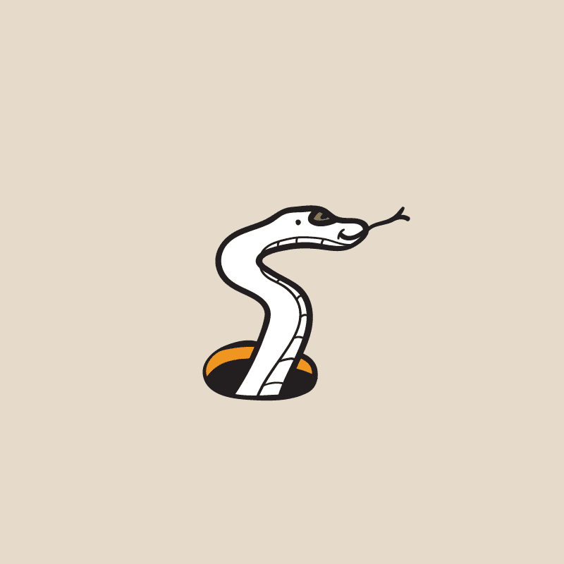 Illustration of a snake in a hole in an outlined style, part of the Drop Bear brand identity design, using a simple Australian inspired color palette."