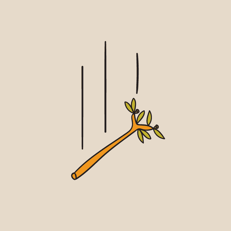 Illustration of a falling branch in an outlined style, part of the Drop Bear brand identity design, using a simple Australian color palette.